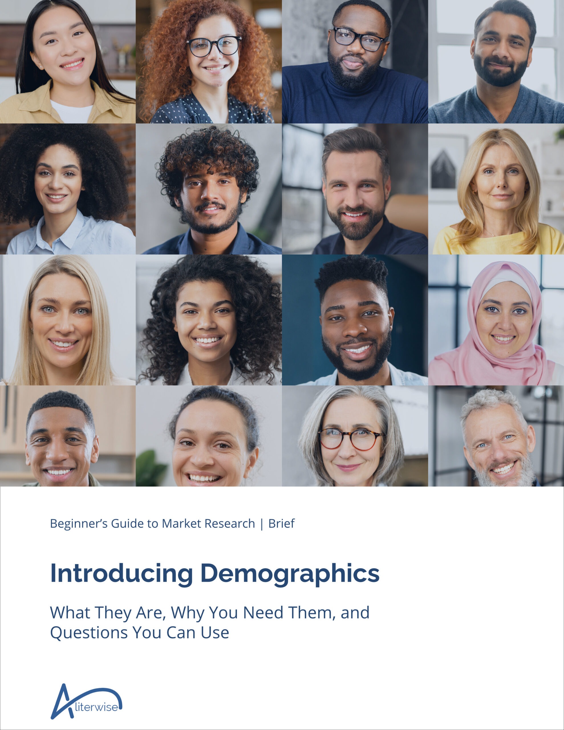 Cover image for Introducing Demographics, an Aliterwise brief